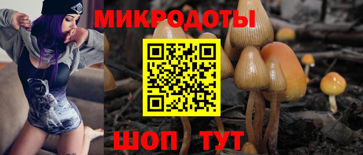Псилоцибиновые грибы мухоморы Вологда