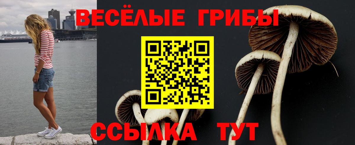 Псилоцибиновые грибы прущие грибы  Вход с VPN  Вологда  Галлюциногенные грибы Psilocybine cubensis 